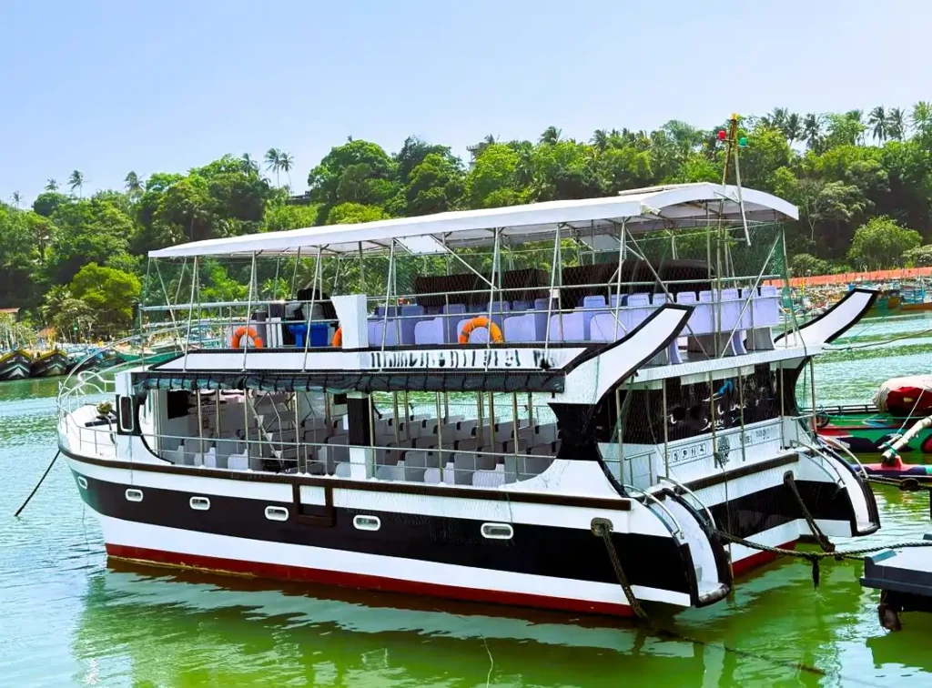 whale watching mirissa packages