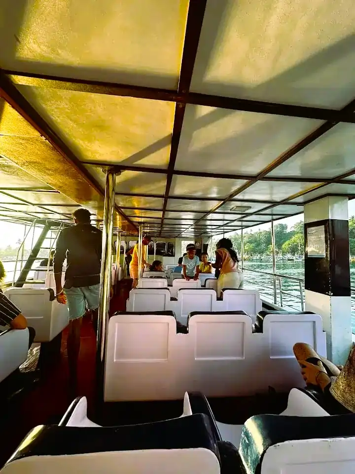 whale watching mirissa packages