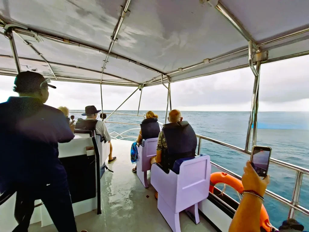 whale watching mirissa